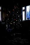 XmastreeDec1967.jpg